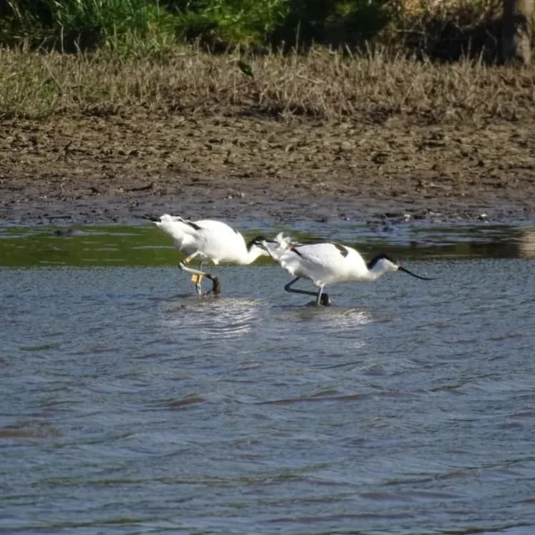 Excursie Waterberging Twisk